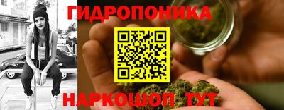 ГАЛЛЮЦИНОГЕННЫЕ ГРИБЫ Усть-Джегута