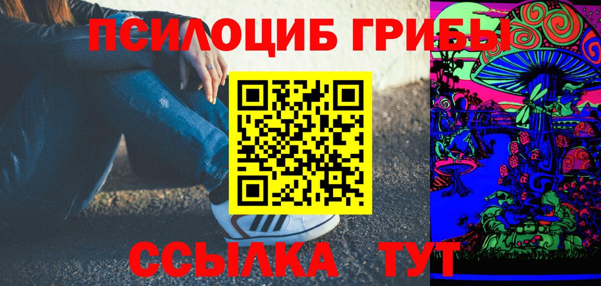 Сосновый Бор  Галлюциногенные грибы мицелий  Вход с VPN 